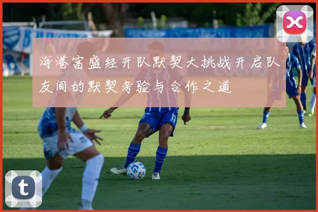 海港富盛经开队默契大挑战开启队友间的默契考验与合作之道