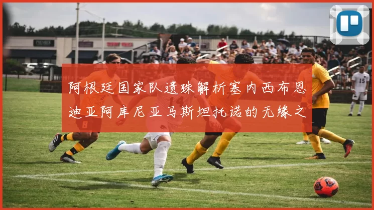 阿根廷国家队遗珠解析塞内西布恩迪亚阿库尼亚马斯坦托诺的无缘之路